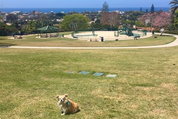 Orpheus Park photo 2